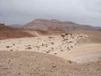 canyon1.jpg (65704 bytes)